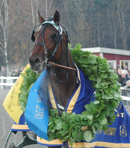 2010 vann vi Breedersfinalen för de treåriga hingstarna med One Too Many, i år kan vi få chansen igen. Foto; A.Lindblom/Travkompaniet